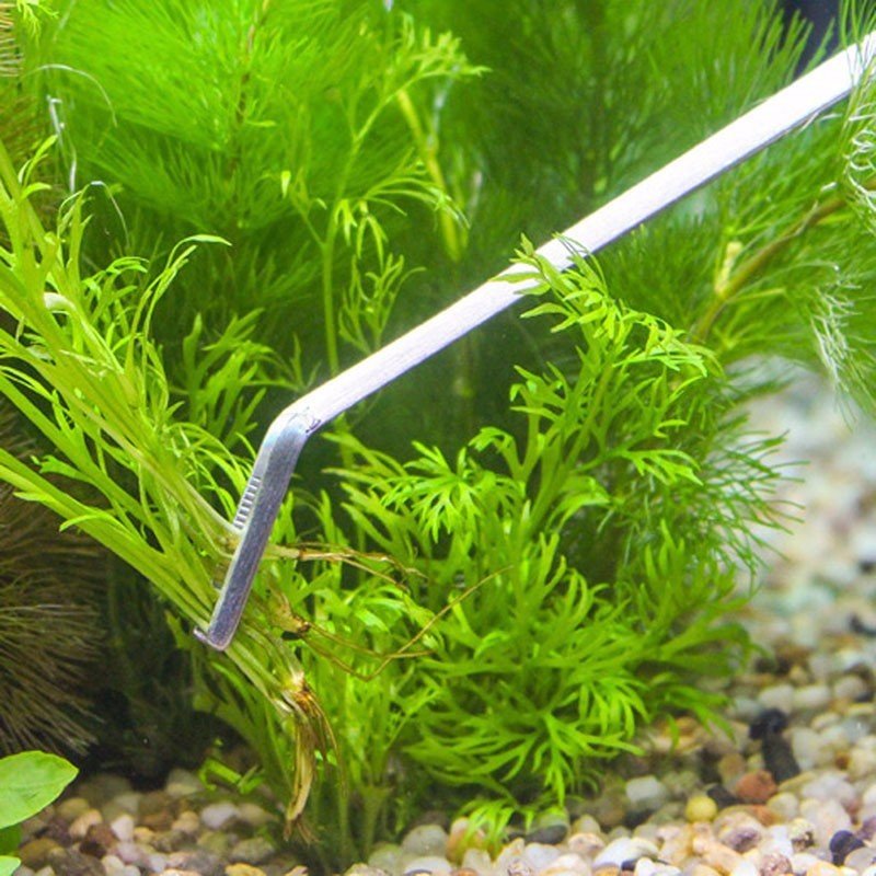 Aquatic Plant Stainless Steel Maintenance Tool Set - Tiny Zen Gardens