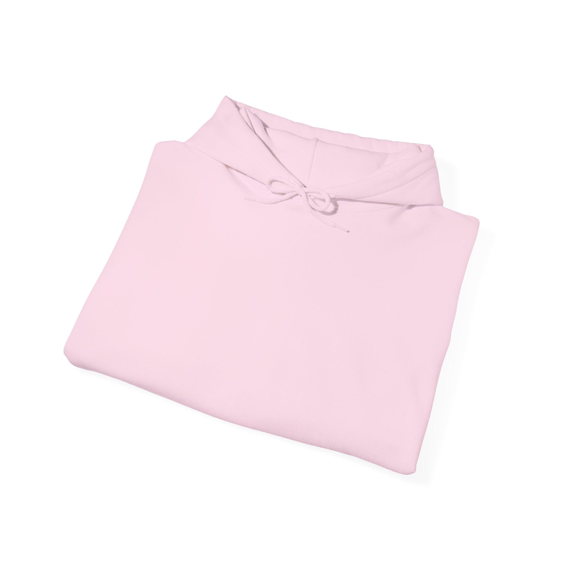 Girls On The Loose Hooded Sweatshirt - Tiny Zen Gardens