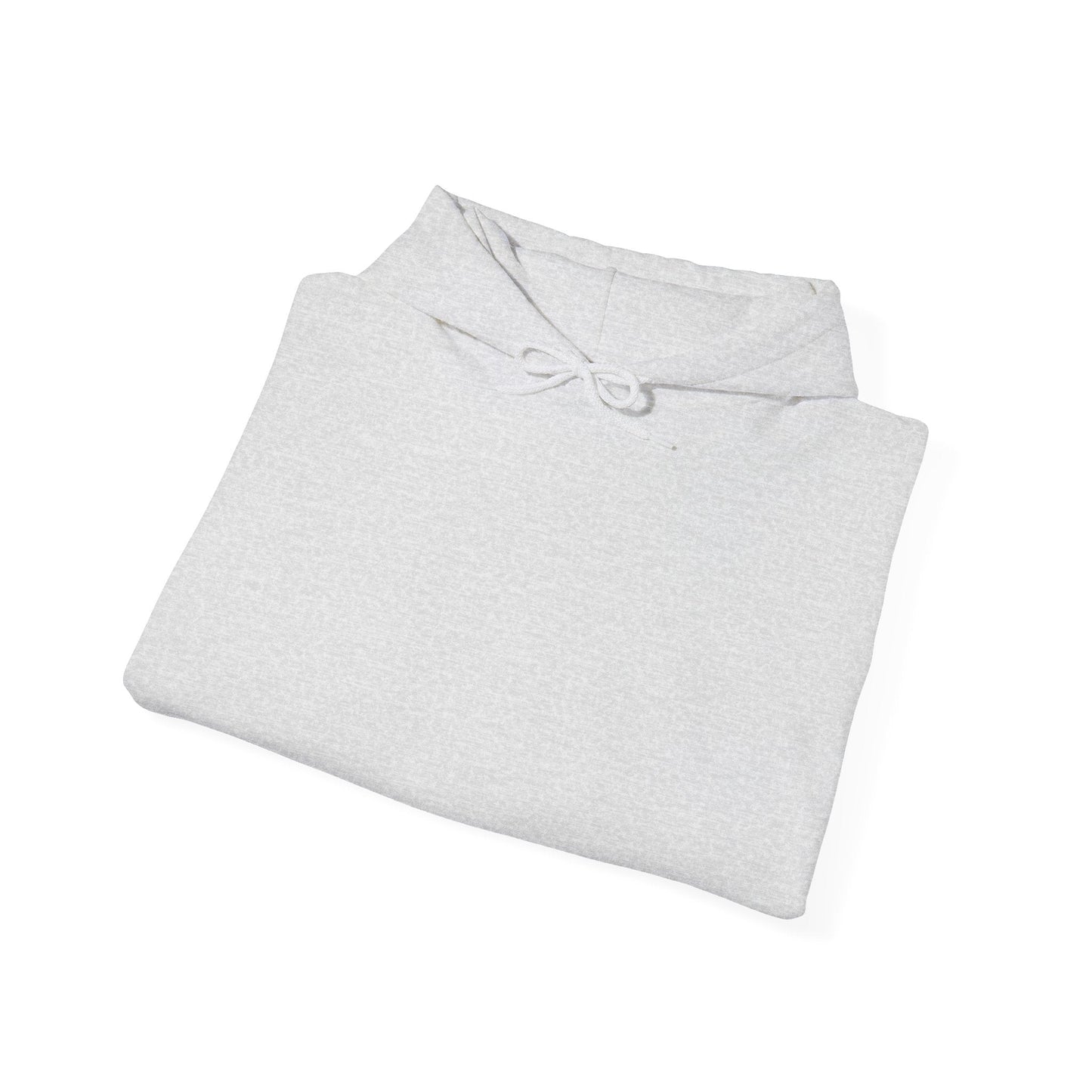 Girls On The Loose Hooded Sweatshirt - Tiny Zen Gardens