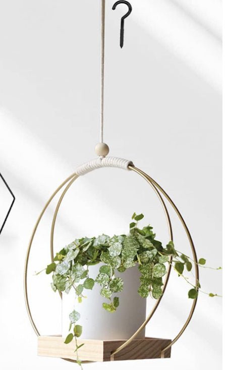 Hanging Flower Pot Plant Bracket Air Green Plant Flower Pot Decoration - Tiny Zen Gardens