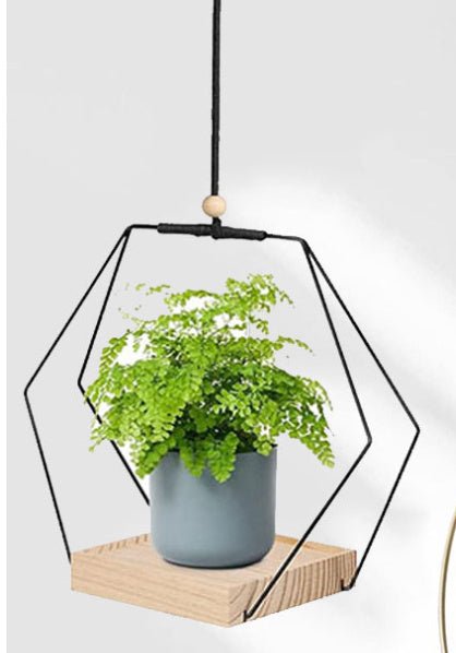 Hanging Flower Pot Plant Bracket Air Green Plant Flower Pot Decoration - Tiny Zen Gardens