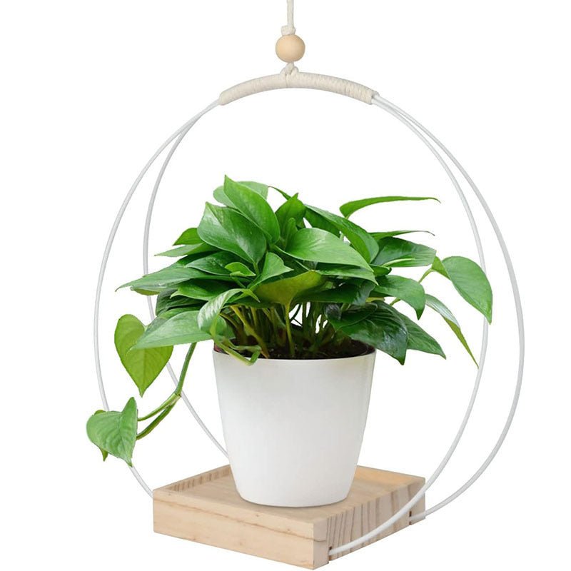 Hanging Flower Pot Plant Bracket Air Green Plant Flower Pot Decoration - Tiny Zen Gardens