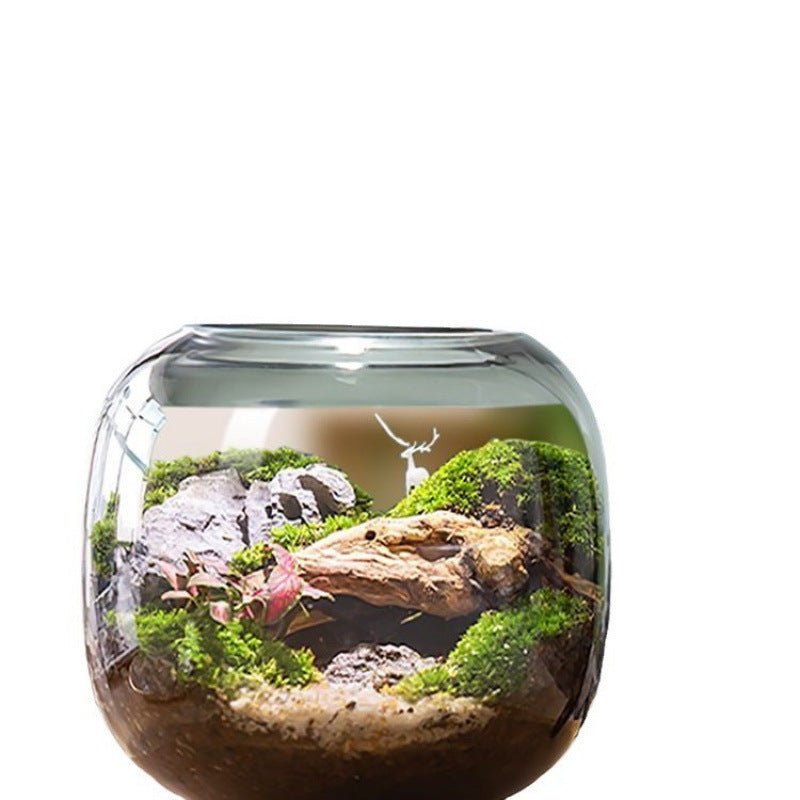 Led Micro Landscape Fish Tank Plant Four Seasons Desktop Water Plant Lamp - Tiny Zen Gardens