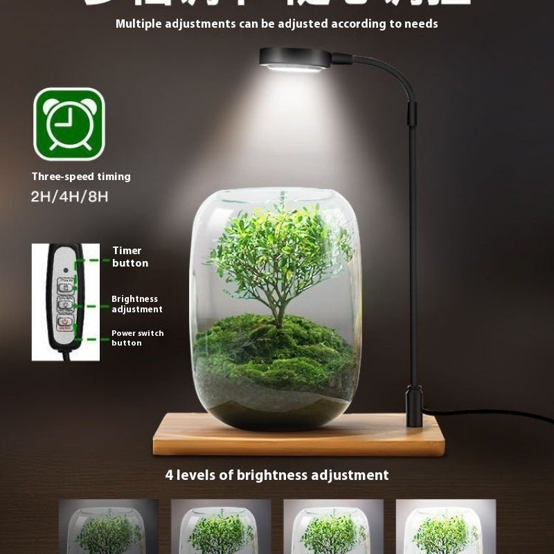 Led Micro Landscape Fish Tank Plant Four Seasons Desktop Water Plant Lamp - Tiny Zen Gardens