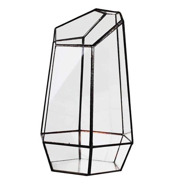 Plant eco bottle - Tiny Zen Gardens