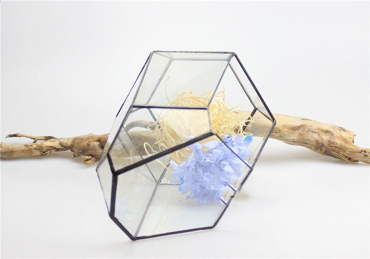 Plant eco bottle - Tiny Zen Gardens