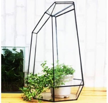 Plant eco bottle - Tiny Zen Gardens