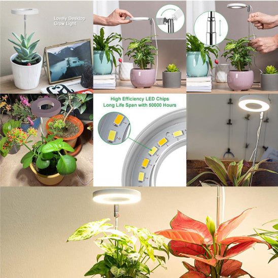 Plant Grow Light with timer - Tiny Zen Gardens