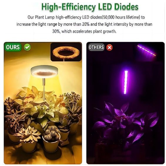 Plant Grow Light with timer - Tiny Zen Gardens