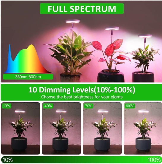 Plant Grow Light with timer - Tiny Zen Gardens