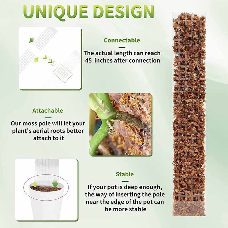 Semi - circular Plant Plastic Moss Pole Plant Stake - Tiny Zen Gardens