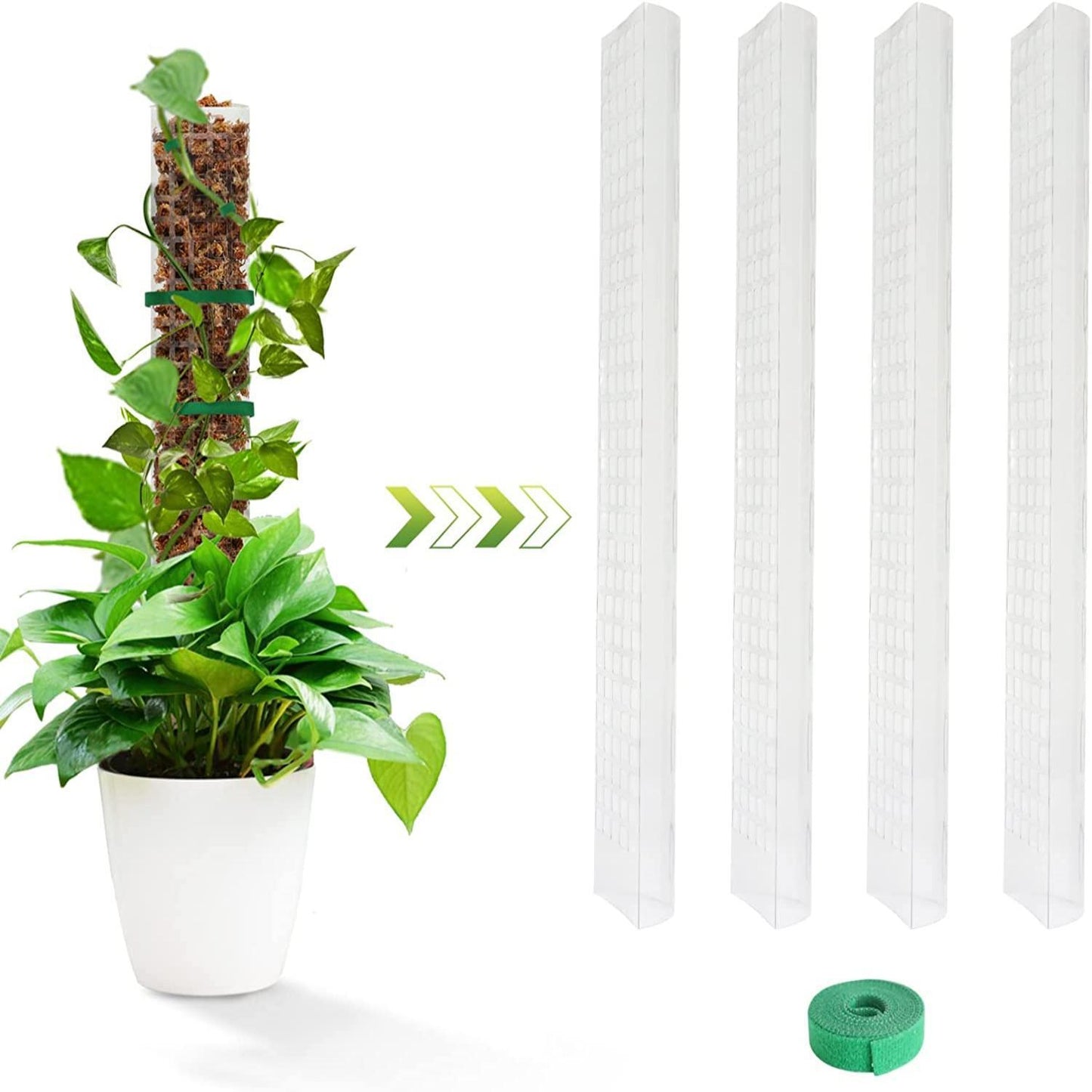 Semi - circular Plant Plastic Moss Pole Plant Stake - Tiny Zen Gardens