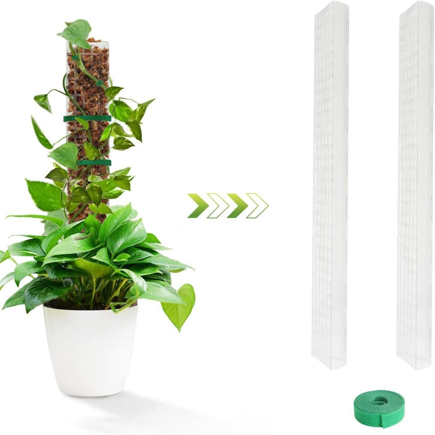 Semi - circular Plant Plastic Moss Pole Plant Stake - Tiny Zen Gardens