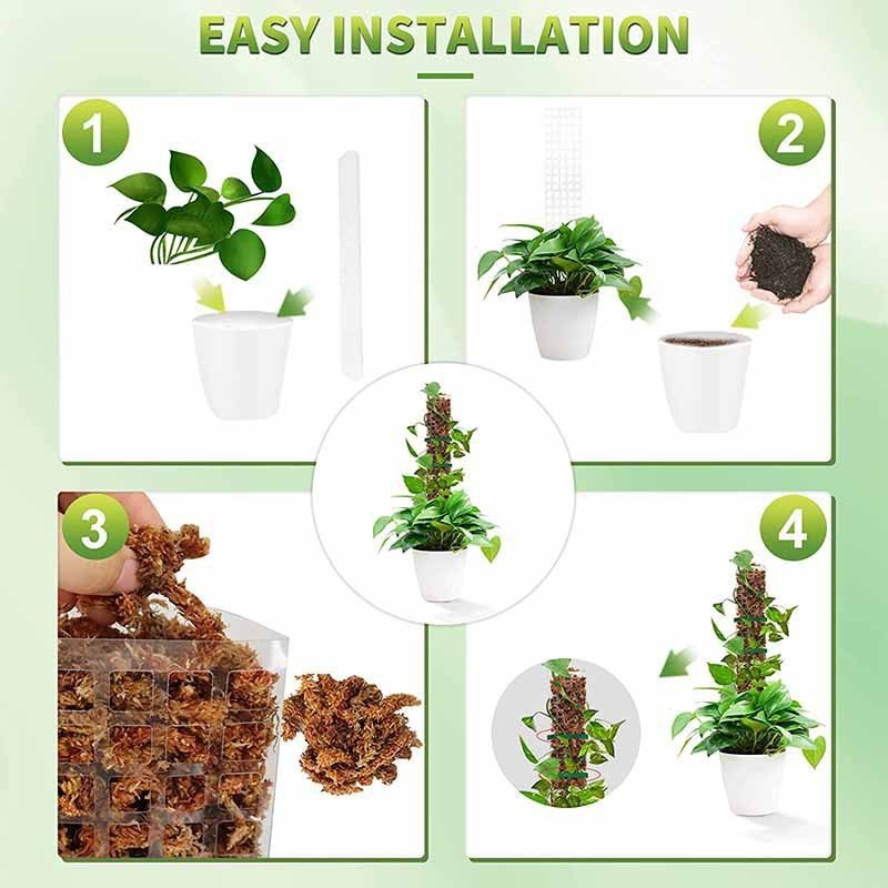 Semi - circular Plant Plastic Moss Pole Plant Stake - Tiny Zen Gardens