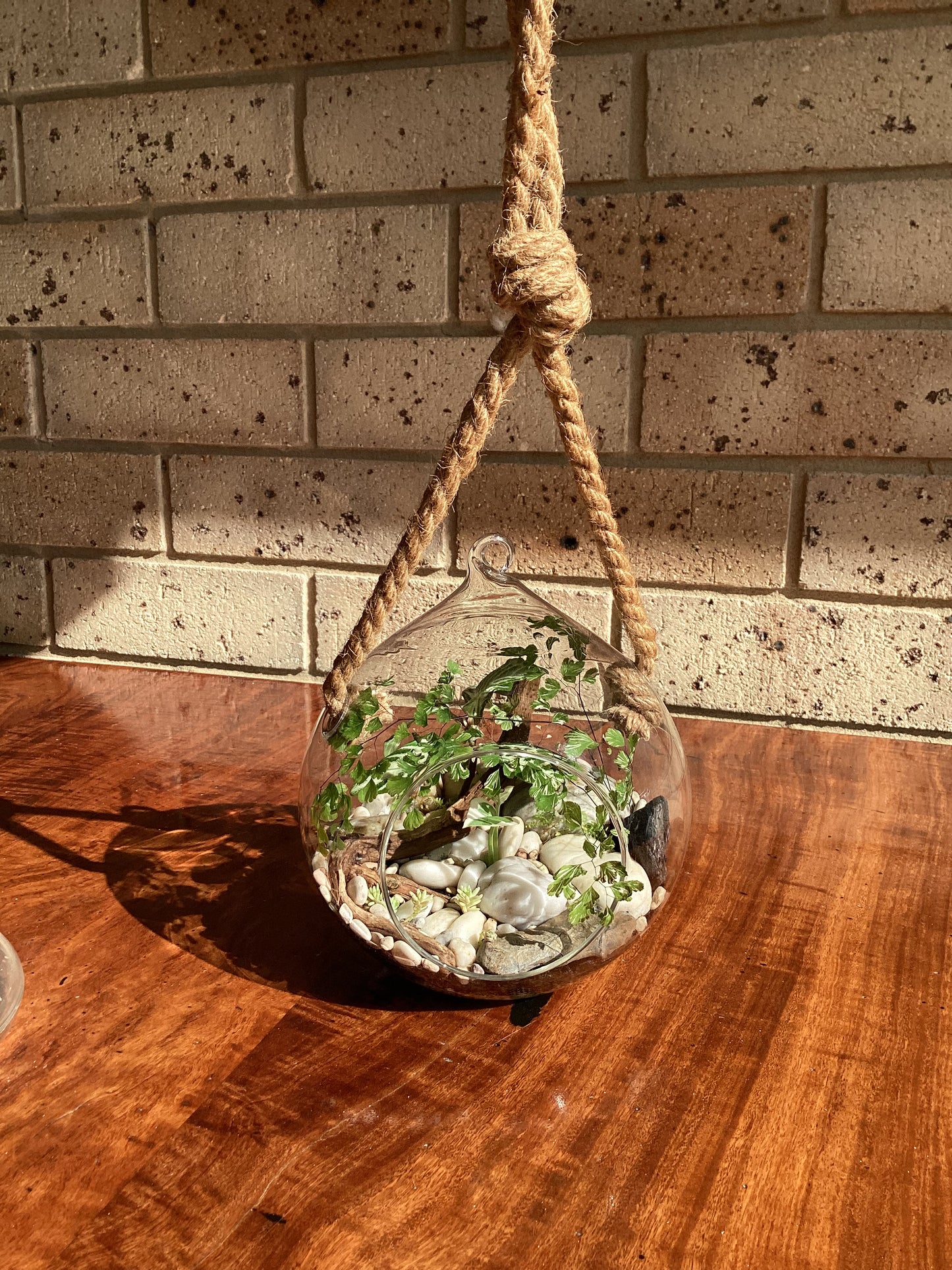 Hanging Orb Zen Garden