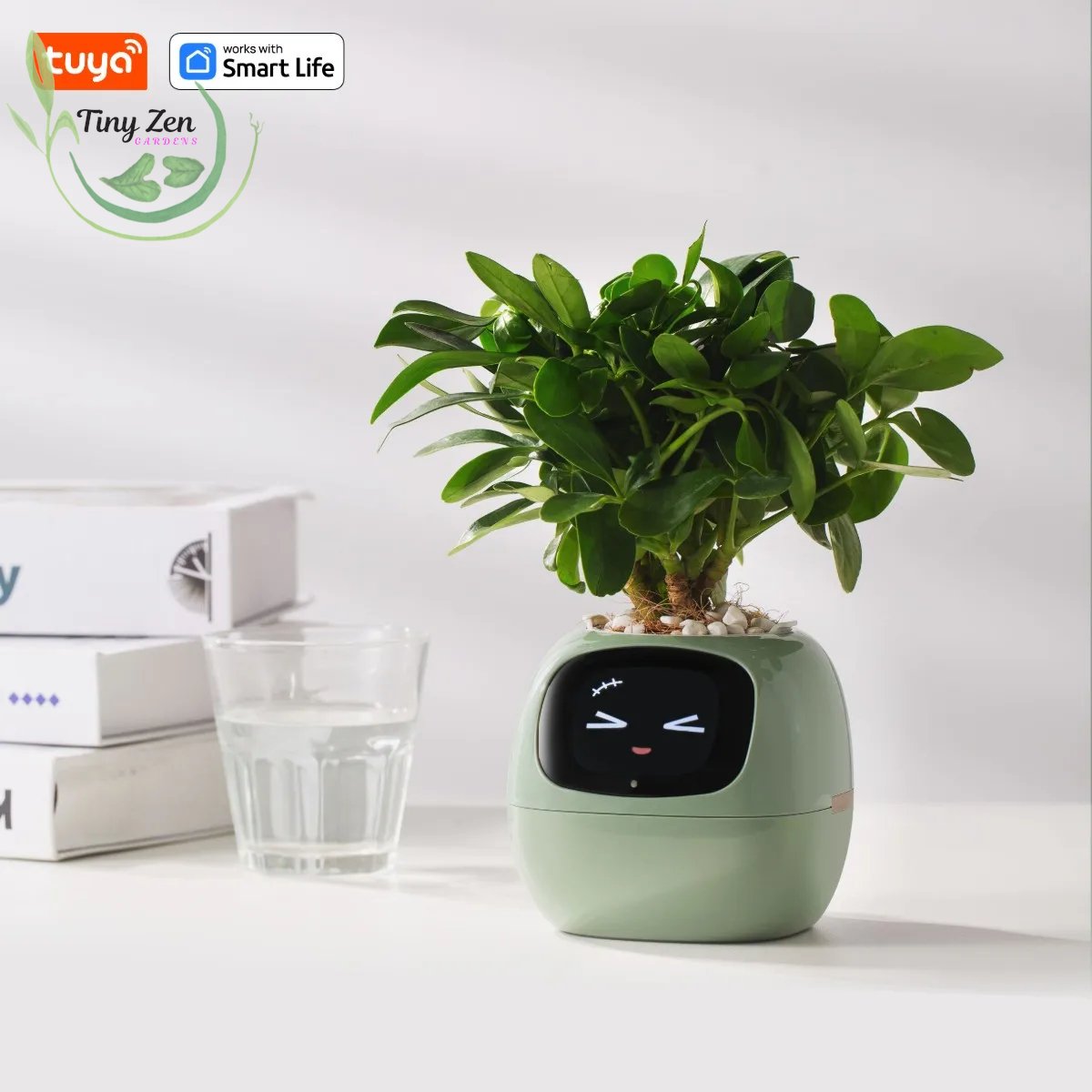 Adorable Ivy Smart Planter Tuya - Tiny Zen Gardens