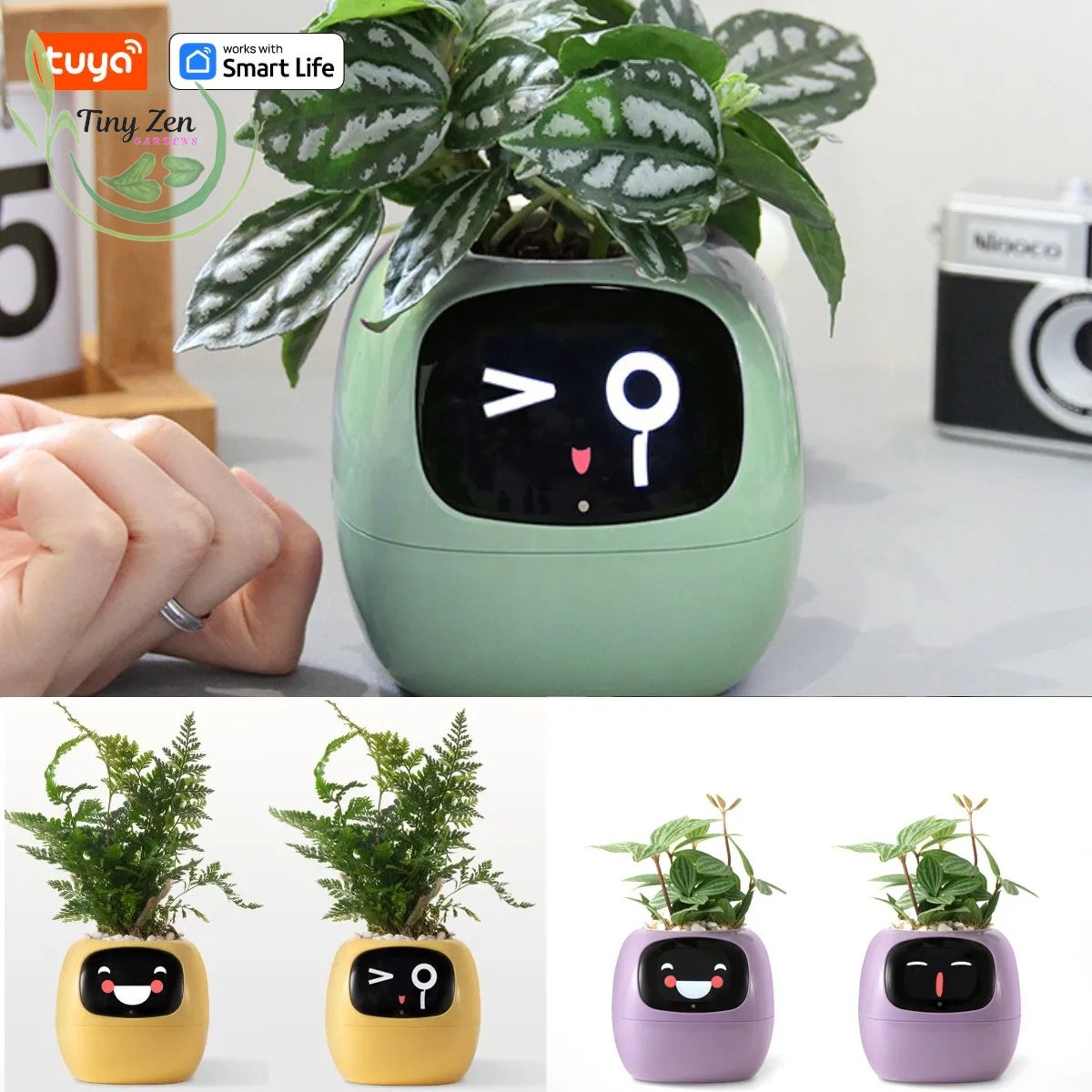 Adorable Ivy Smart Planter Tuya - Tiny Zen Gardens