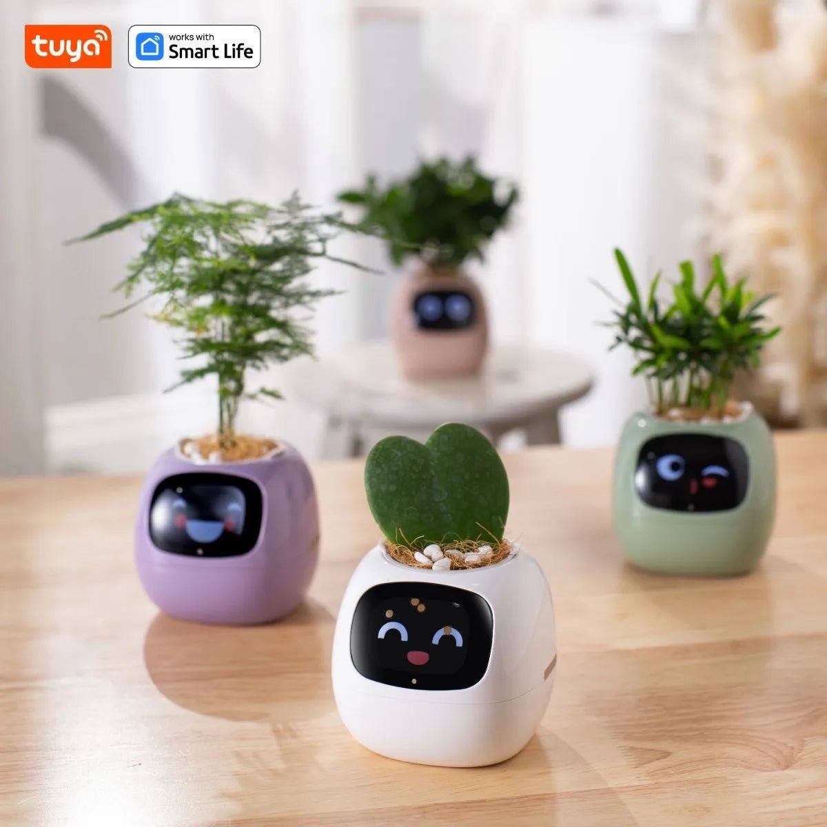 Adorable Ivy Smart Planter Tuya - Tiny Zen Gardens