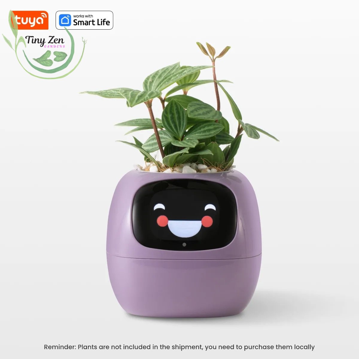 Adorable Ivy Smart Planter Tuya - Tiny Zen Gardens