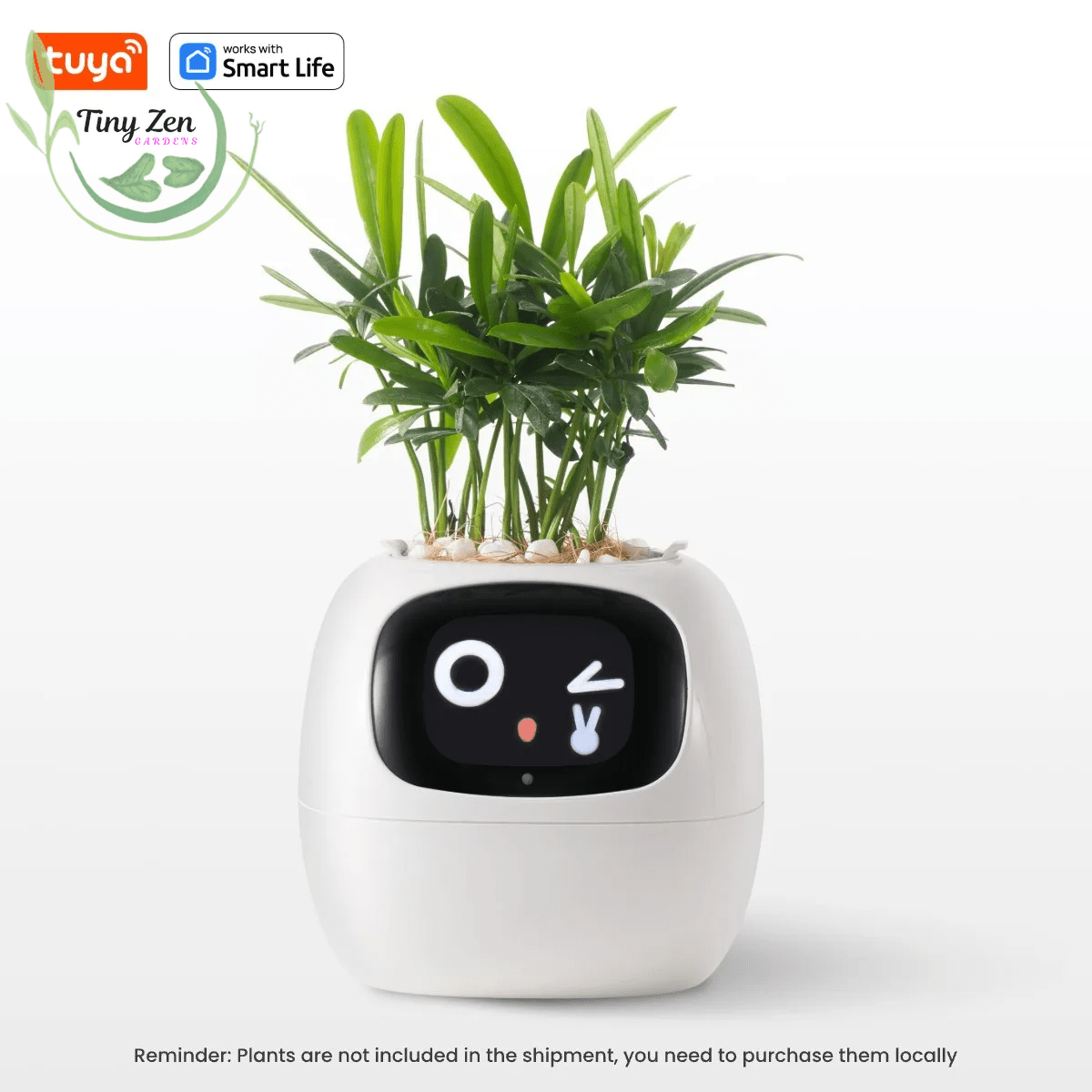 Adorable Ivy Smart Pot - Tiny Zen Gardens