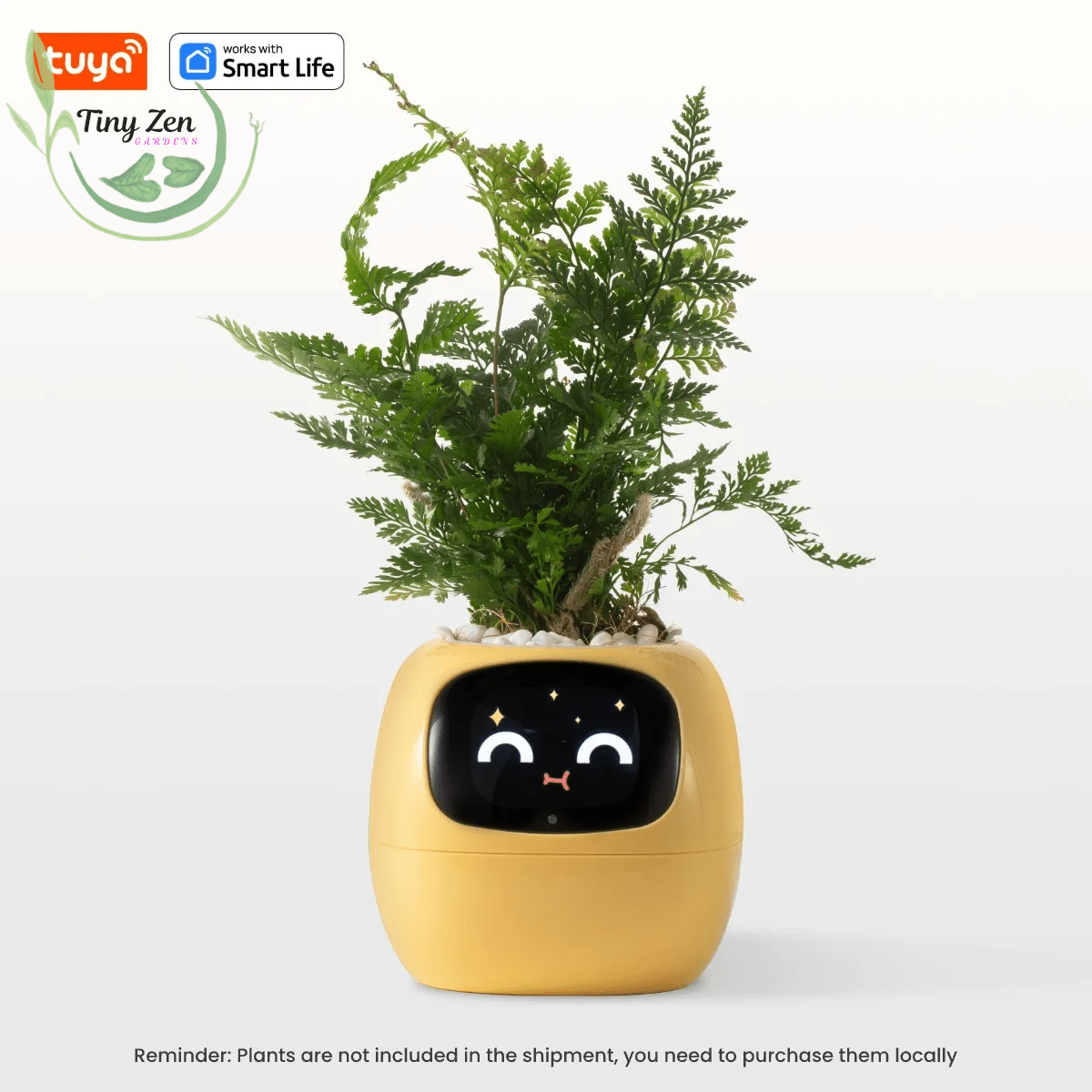 Adorable Ivy Smart Pot - Tiny Zen Gardens