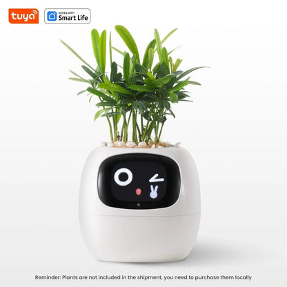 Adorable Ivy Smart Pot - Tiny Zen Gardens