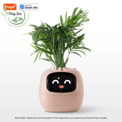 Adorable Ivy Smart Pot - Tiny Zen Gardens