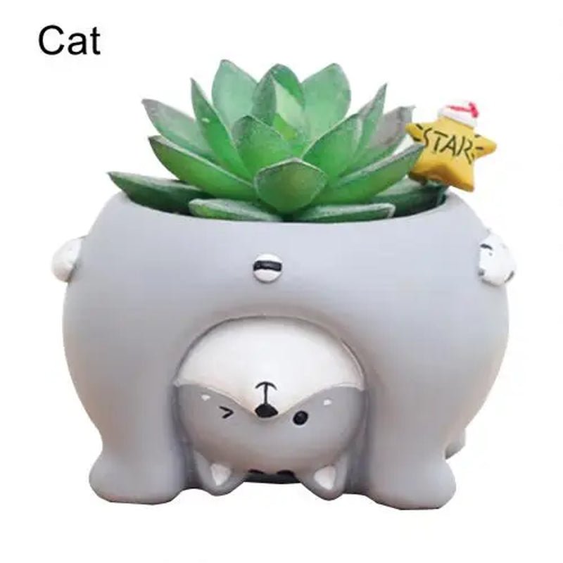 Cute Cat Pig Dog Succulent Plant Pot - Tiny Zen Gardens