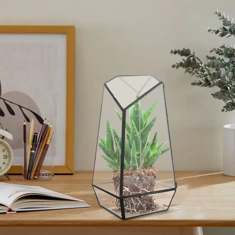 Geometric Terrarium Modern Handmade Glass with Door 25cm - Tiny Zen Gardens