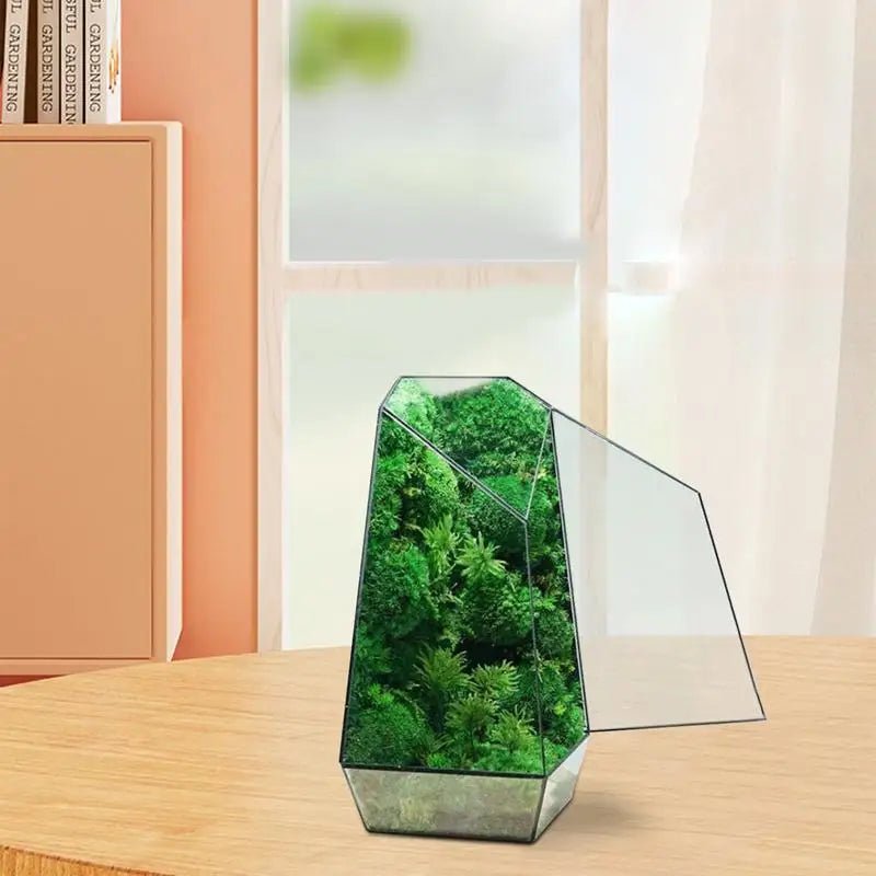 Geometric Terrarium Modern Handmade Glass with Door 25cm - Tiny Zen Gardens