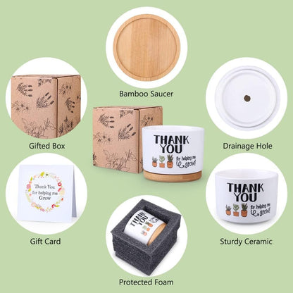 Gifts Set Thankyou for helping me grow | Tiny Zen Gardens - Tiny Zen Gardens