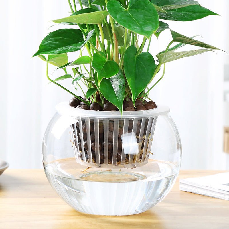 Glass Bowl - Tiny Zen Gardens