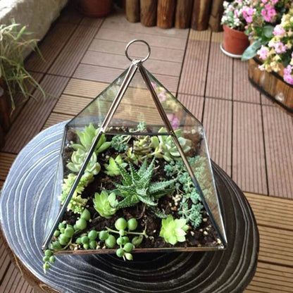 Glass Geometric Shape Terrarium Ideal for Plants - Tiny Zen Gardens