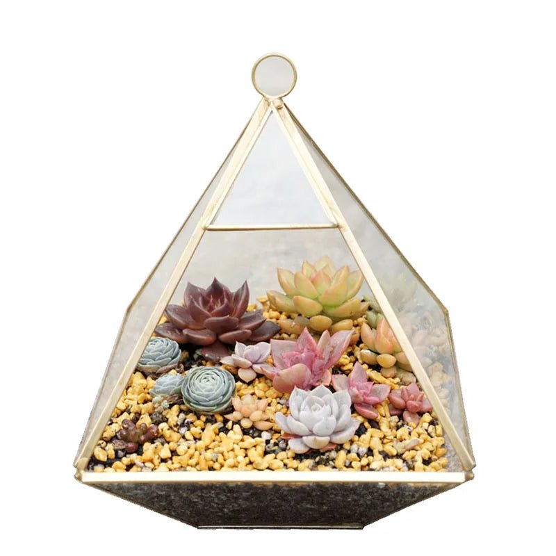 Glass Geometric Shape Terrarium Ideal for Plants - Tiny Zen Gardens