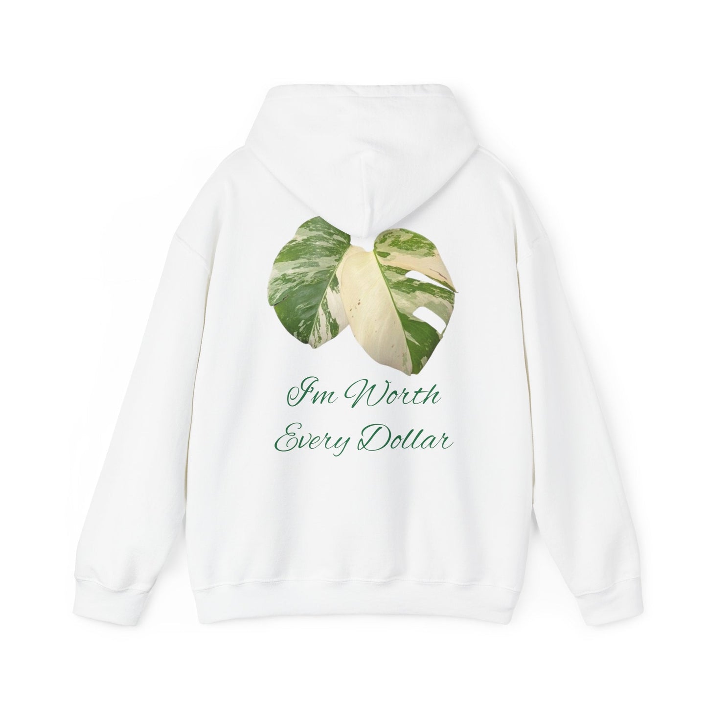 Hooded Jumper (I am worth every dollar) - Tiny Zen Gardens