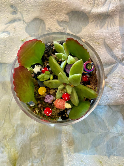 Kids Terrarium Class - Tiny Zen Gardens