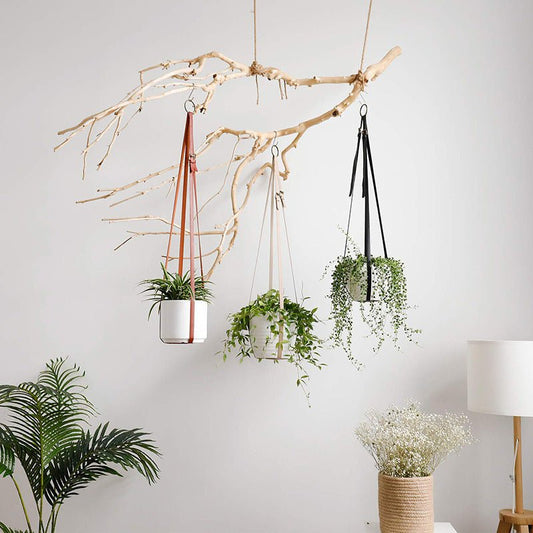 Leather Plant Hanging Basket Adjustable Hanging - Tiny Zen Gardens