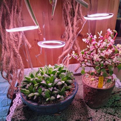 LED Grow Light Full Spectrum Angel Ring Phyto Grow Lamp USB Phytolamp For Plants 5V Lamp Indoor Flower Greenhouse Plant Seedling - Tiny Zen Gardens