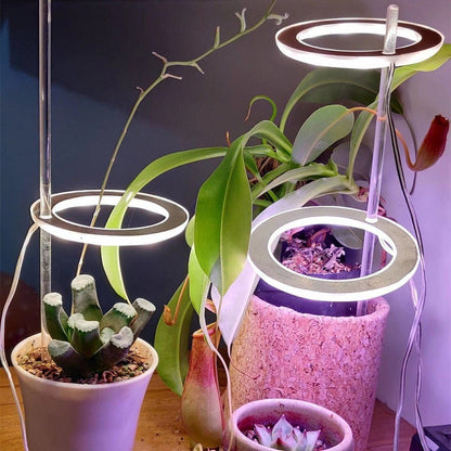 LED Grow Light Full Spectrum Angel Ring Phyto Grow Lamp USB Phytolamp For Plants 5V Lamp Indoor Flower Greenhouse Plant Seedling - Tiny Zen Gardens