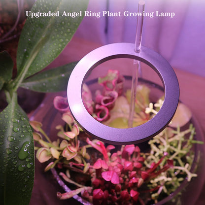 LED Grow Light Full Spectrum Angel Ring Phyto Grow Lamp USB Phytolamp For Plants 5V Lamp Indoor Flower Greenhouse Plant Seedling - Tiny Zen Gardens