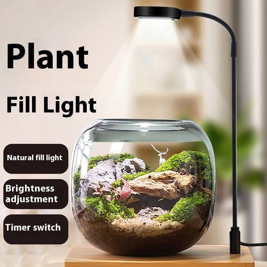 Led Micro Landscape Fish Tank Plant Four Seasons Desktop Water Plant Lamp - Tiny Zen Gardens