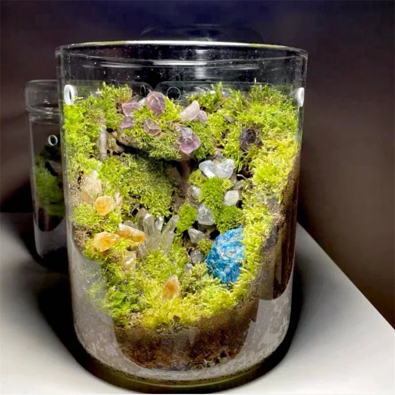 Micro Landscape Glass Terrarium - Tiny Zen Gardens