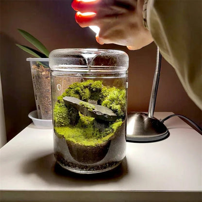 Micro Landscape Glass Terrarium - Tiny Zen Gardens