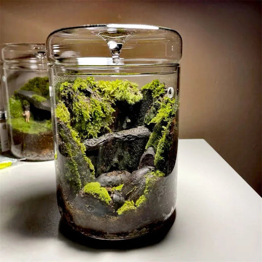 Micro Landscape Glass Terrarium - Tiny Zen Gardens