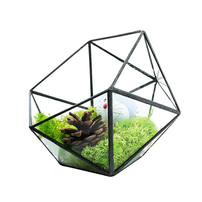 Modern geometric glass creative micro landscape - Tiny Zen Gardens