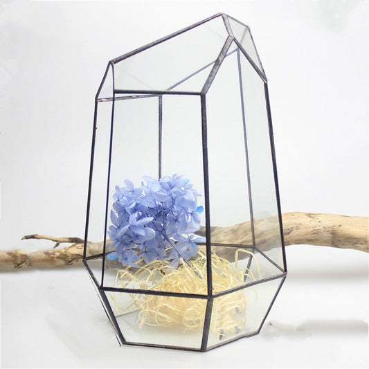 Plant eco bottle - Tiny Zen Gardens