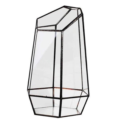 Plant eco bottle - Tiny Zen Gardens