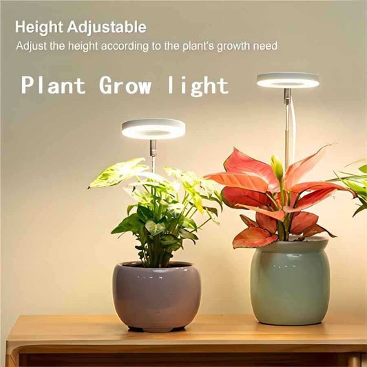 Plant Grow Light with timer - Tiny Zen Gardens