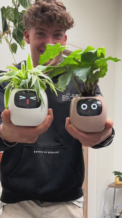 Adorable Ivy Smart Pot