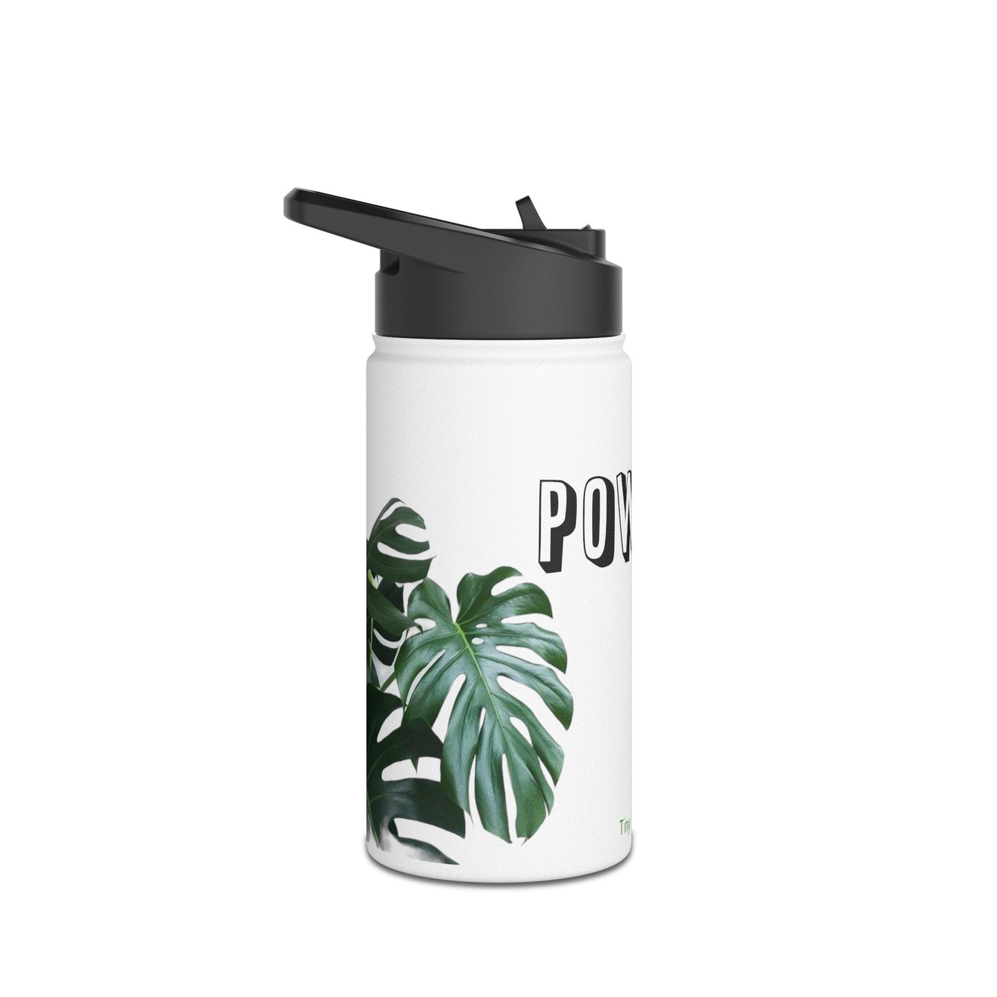 Stainless Steel Water Bottle, Standard Lid - Tiny Zen Gardens